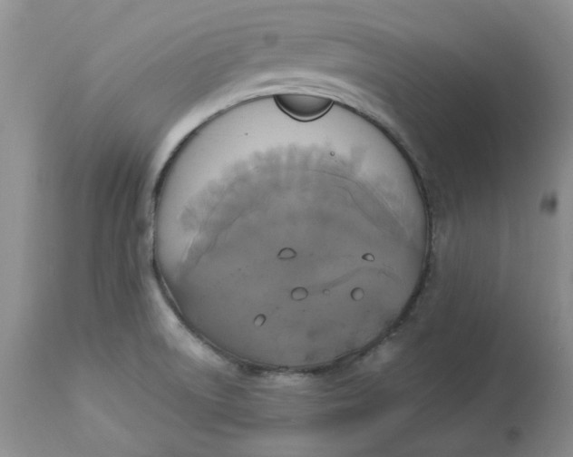 X0000112821522200909111310