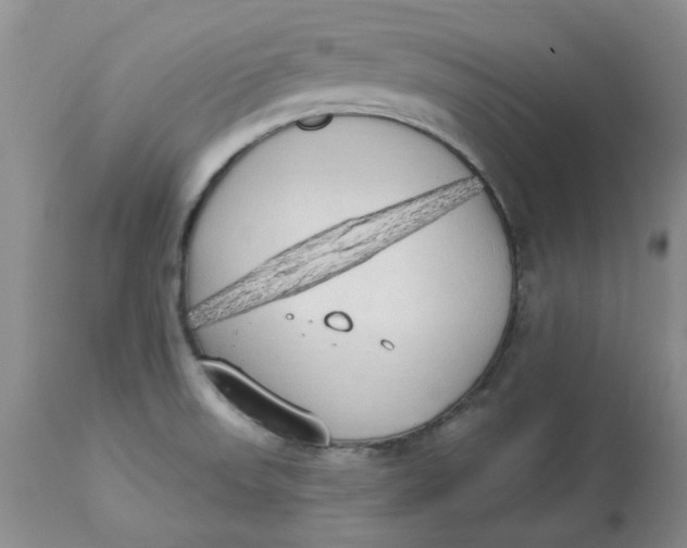 X0000112821523200909111310