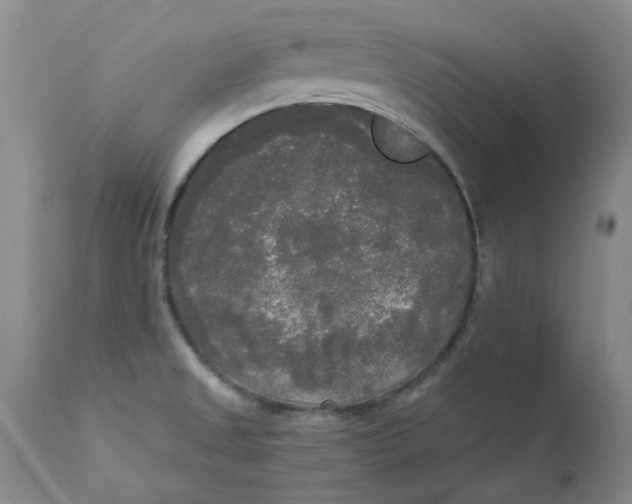 X0000112821525200909111310