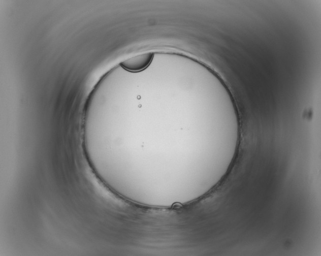 X0000112821526200909111311