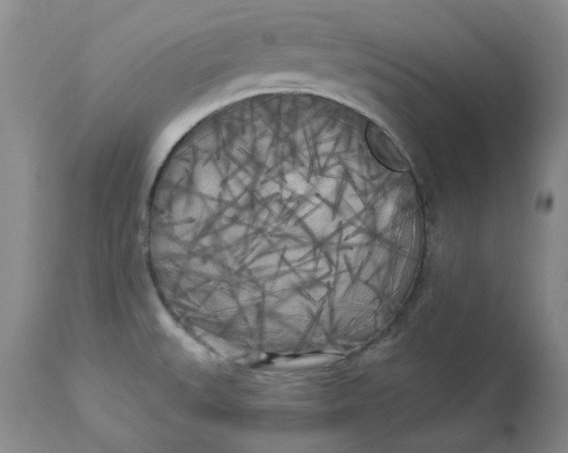 X0000112821527200909111311