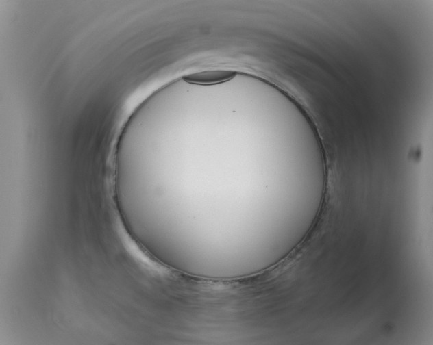 X0000112821528200909111311