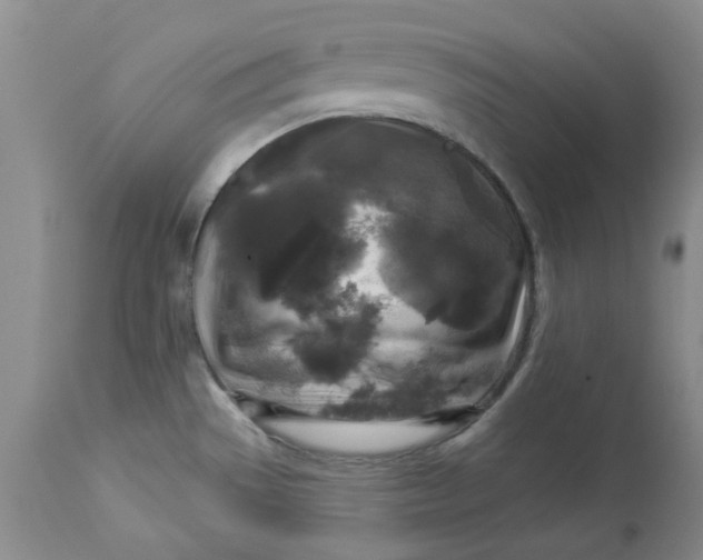 X0000112821529200909111311