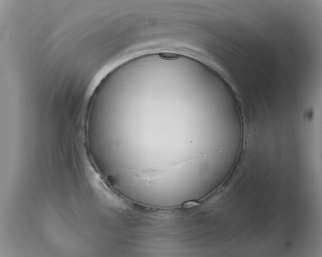 X0000112821530200909111311