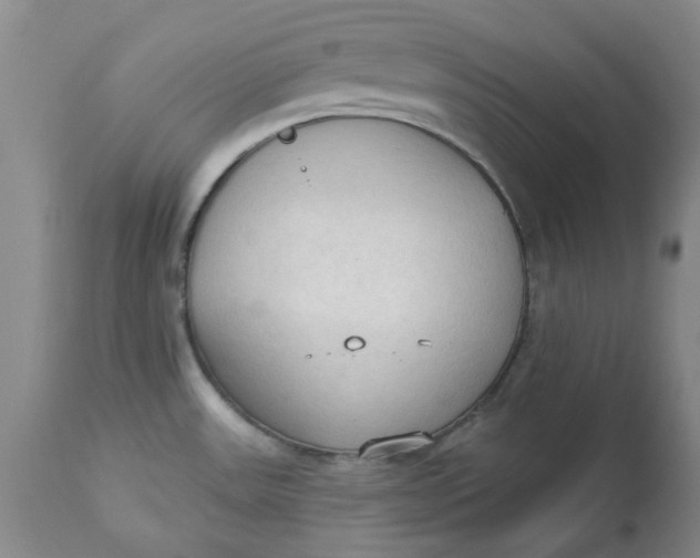 X0000112821531200909111311