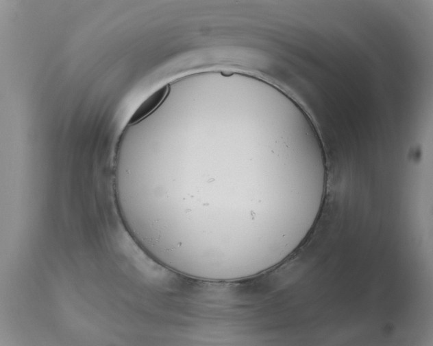 X0000112821532200909111311