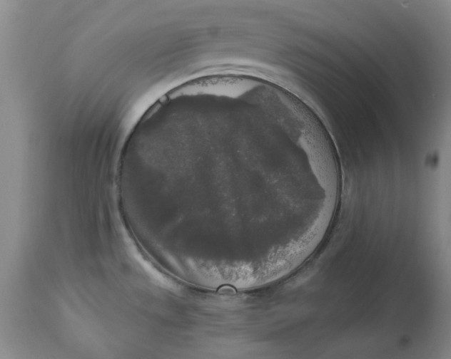 X0000112821533200909111311