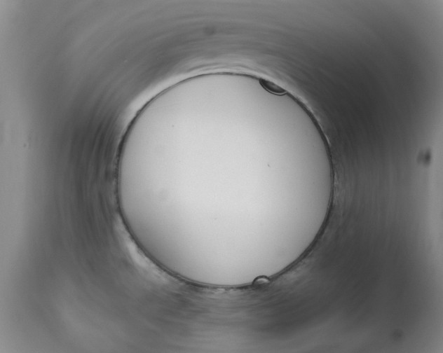 X0000112821534200909111311