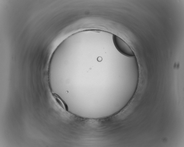 X0000112821536200909111311