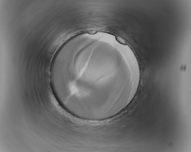 X0000112820002200909181637