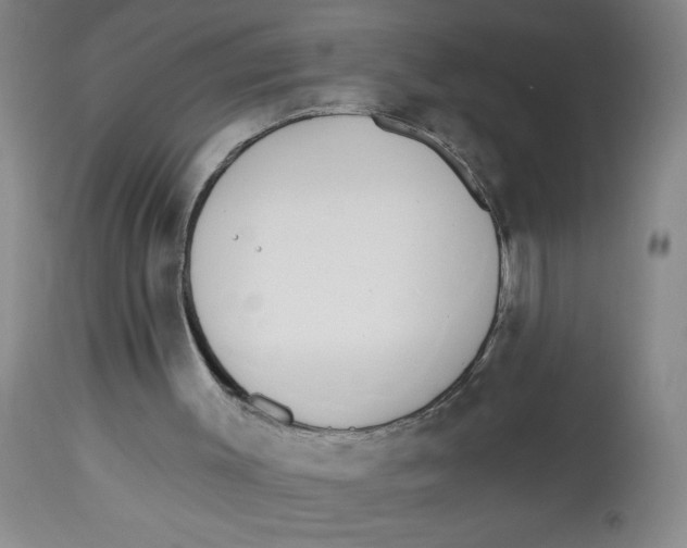 X0000112820003200909181637