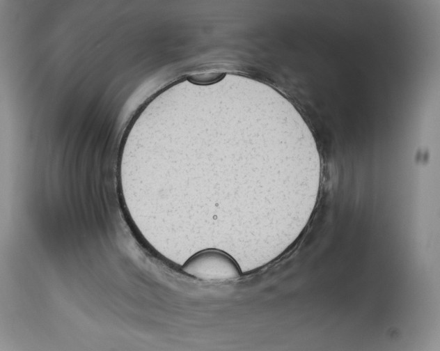 X0000112820004200909181637