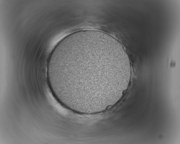 X0000112820005200909181637