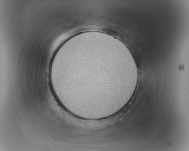 X0000112820006200909181637