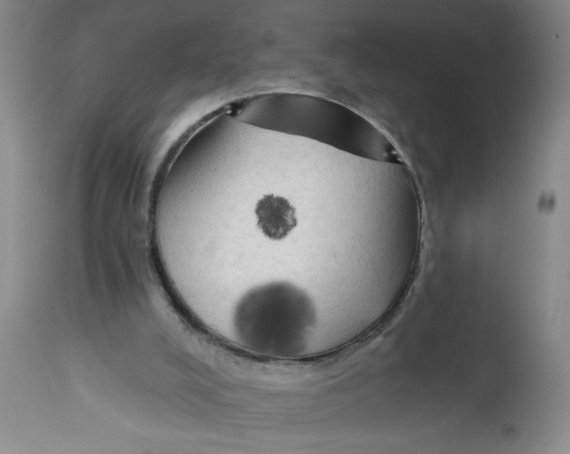 X0000112820008200909181637