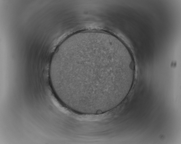 X0000112820009200909181637