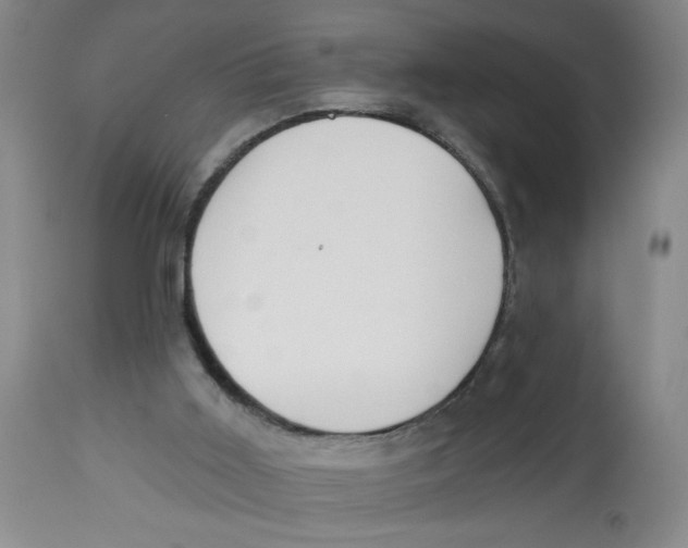 X0000112820011200909181637