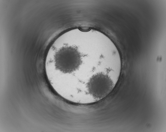 X0000112820012200909181637
