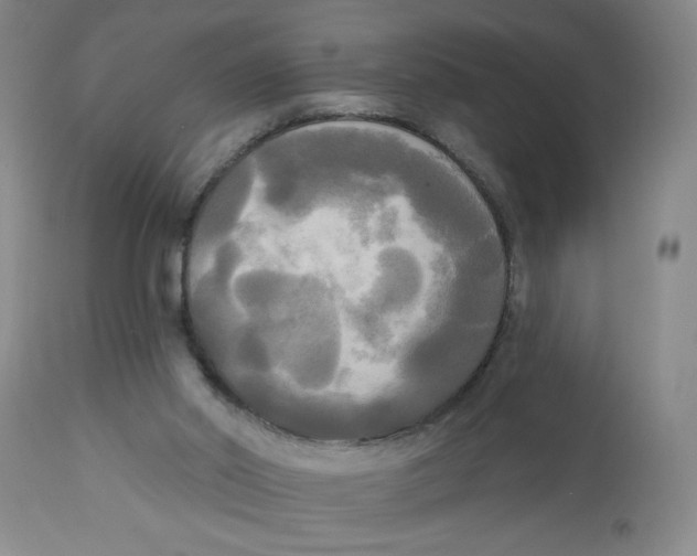 X0000112820014200909181637