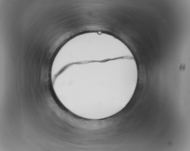 X0000112820015200909181637