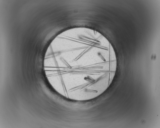 X0000112820016200909181637