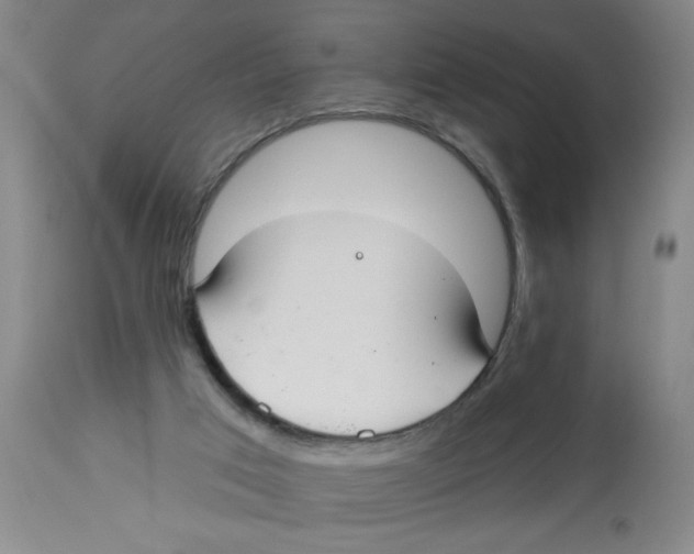 X0000112820017200909181637