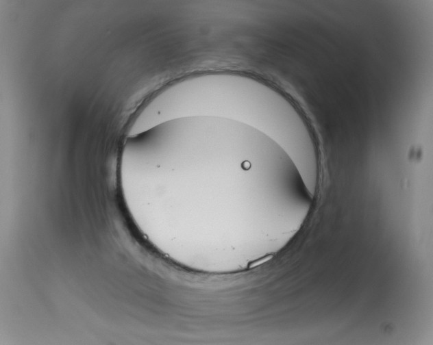 X0000112820019200909181636