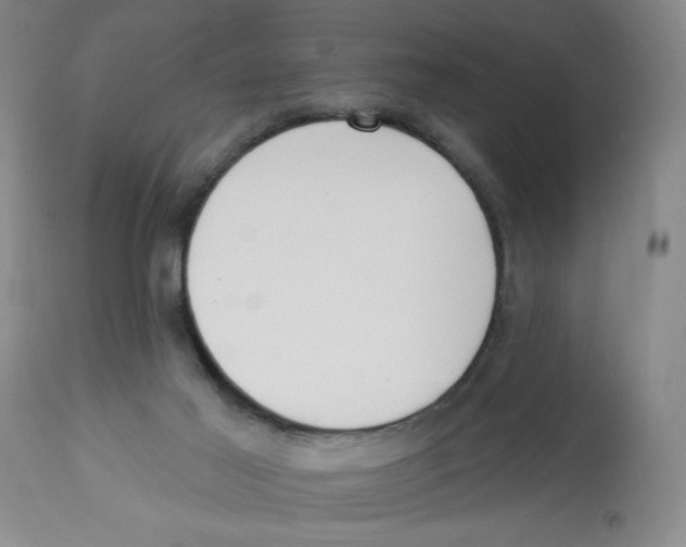 X0000112820021200909181636