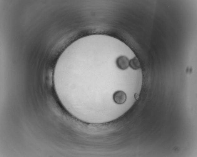 X0000112820022200909181636