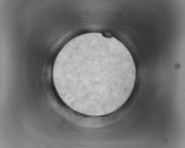 X0000112820024200909181636