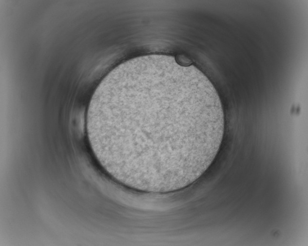 X0000112820028200909181636