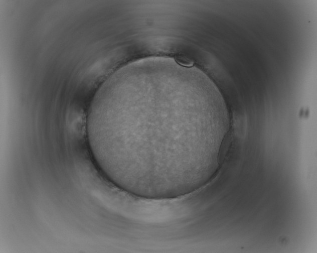 X0000112820029200909181636