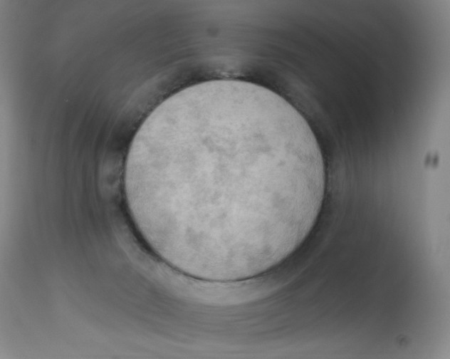 X0000112820030200909181636