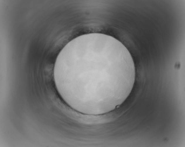 X0000112820034200909181636