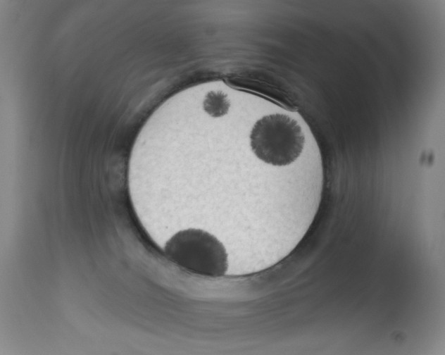 X0000112820036200909181636