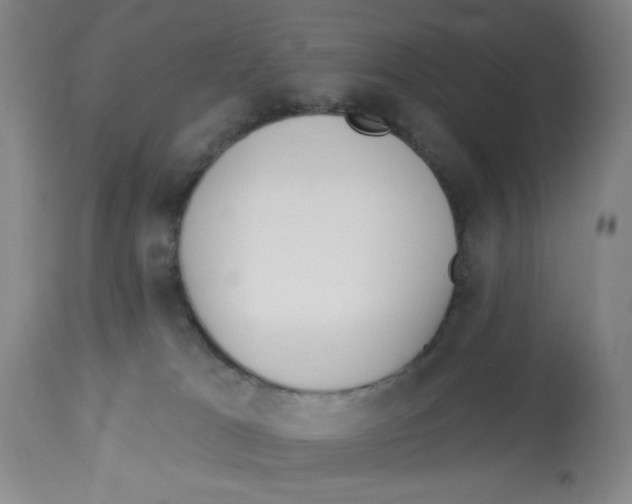 X0000112820037200909181636