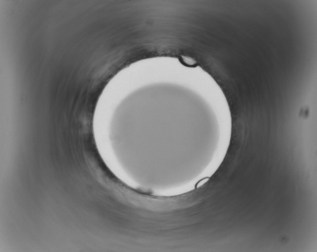 X0000112820039200909181636