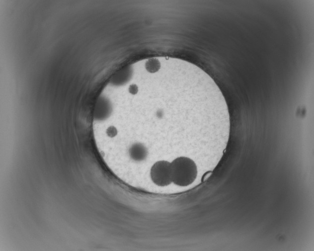 X0000112820040200909181636