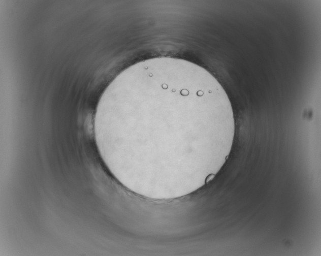 X0000112820042200909181636