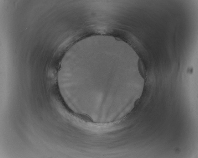 X0000112820043200909181636