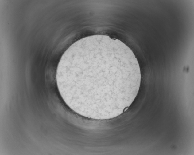 X0000112820044200909181636