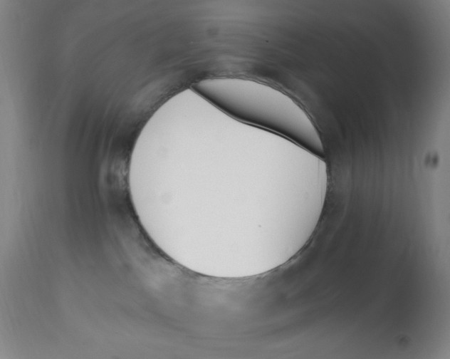 X0000112820045200909181636