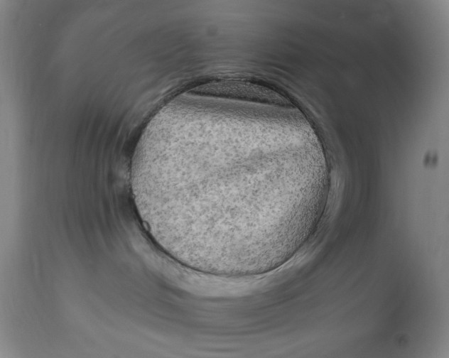 X0000112820048200909181636