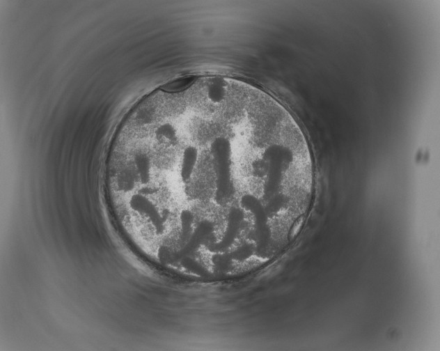 X0000112820049200909181635