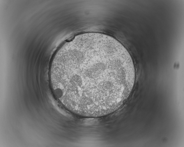 X0000112820050200909181635