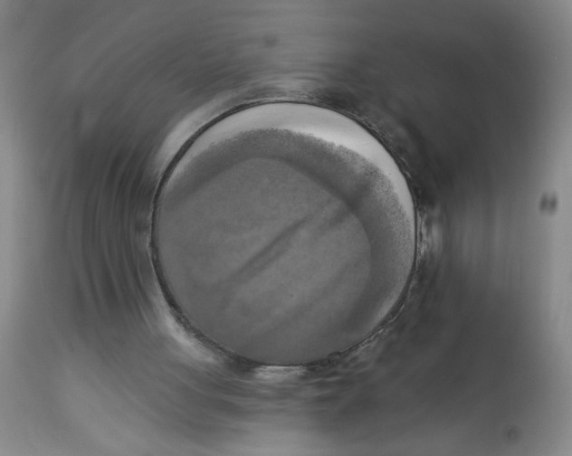 X0000112820051200909181635