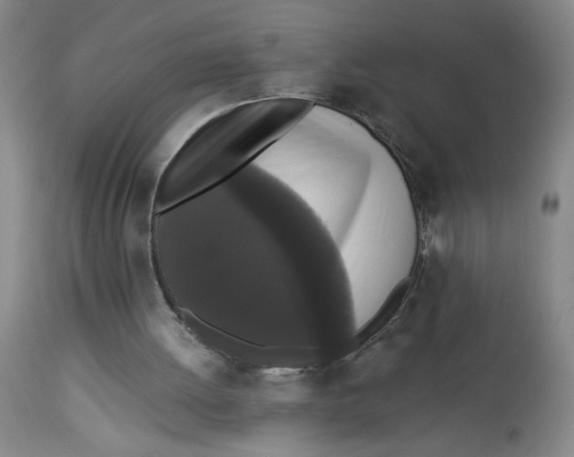 X0000112820052200909181635