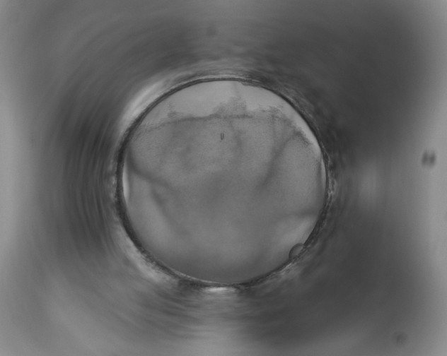 X0000112820053200909181635