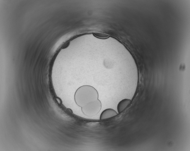 X0000112820054200909181635