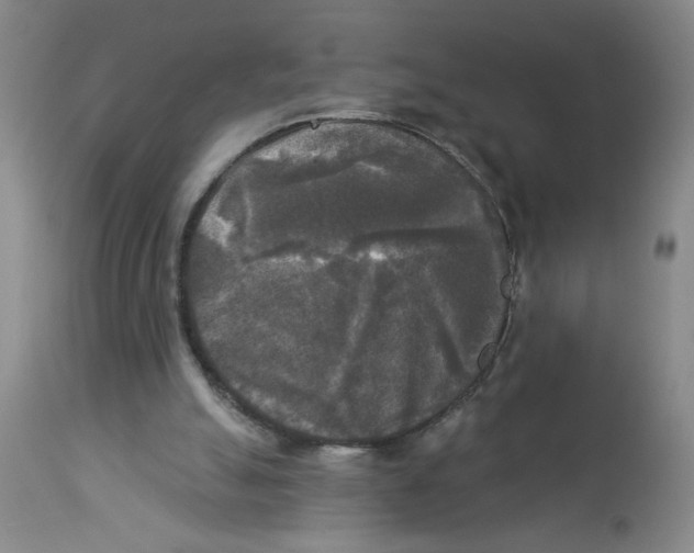 X0000112820055200909181635